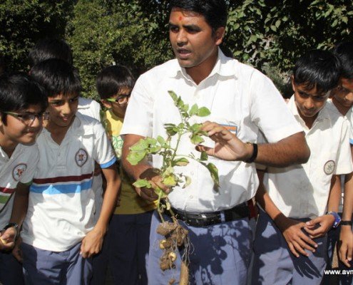 Learning by Farming